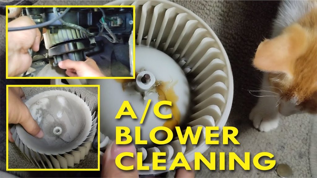 Cleaning the A/C Blower